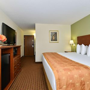 Large King Room Non smoking